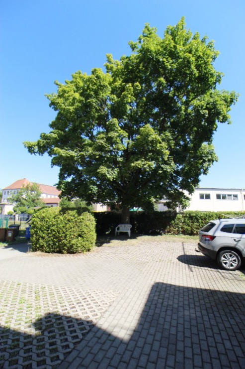 Stellplätze vor dem Haus