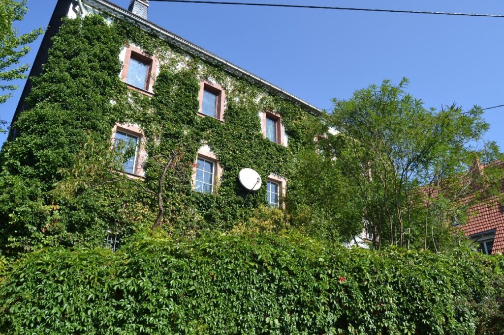 4-Seithof im Vorort von Wechselburg