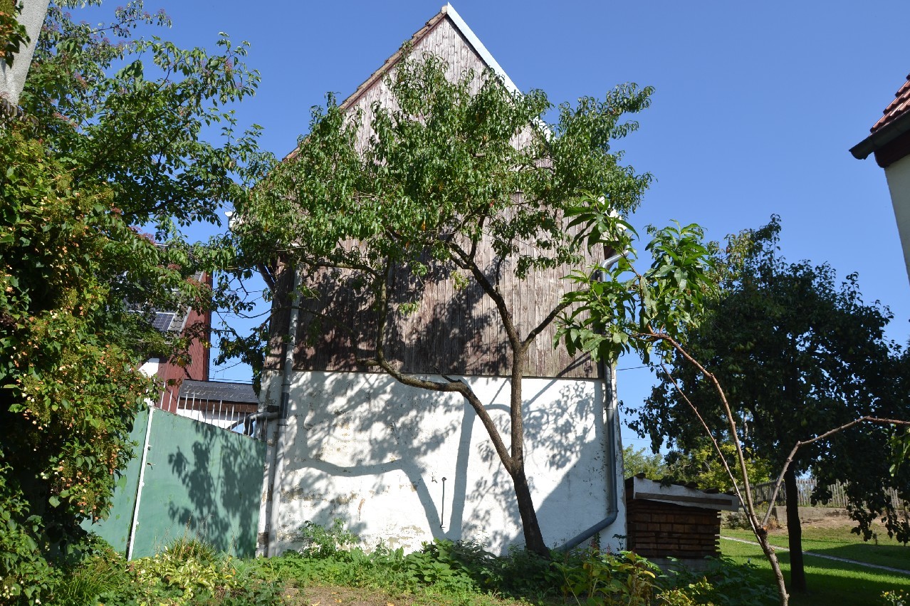 Ansicht Seitengebäude