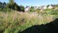 Blick zur Straße