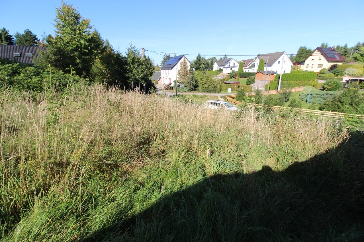 Blick zur Straße