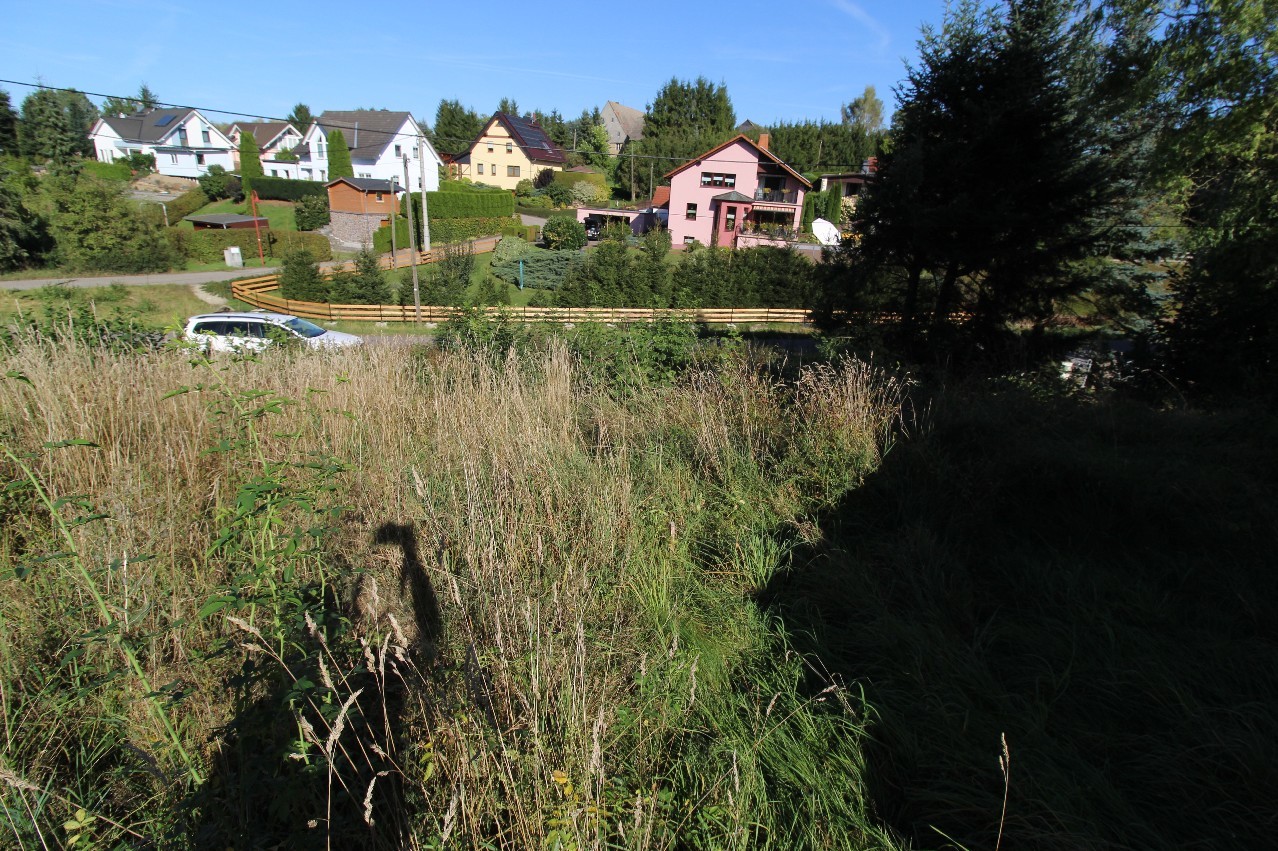Blick zur Straße