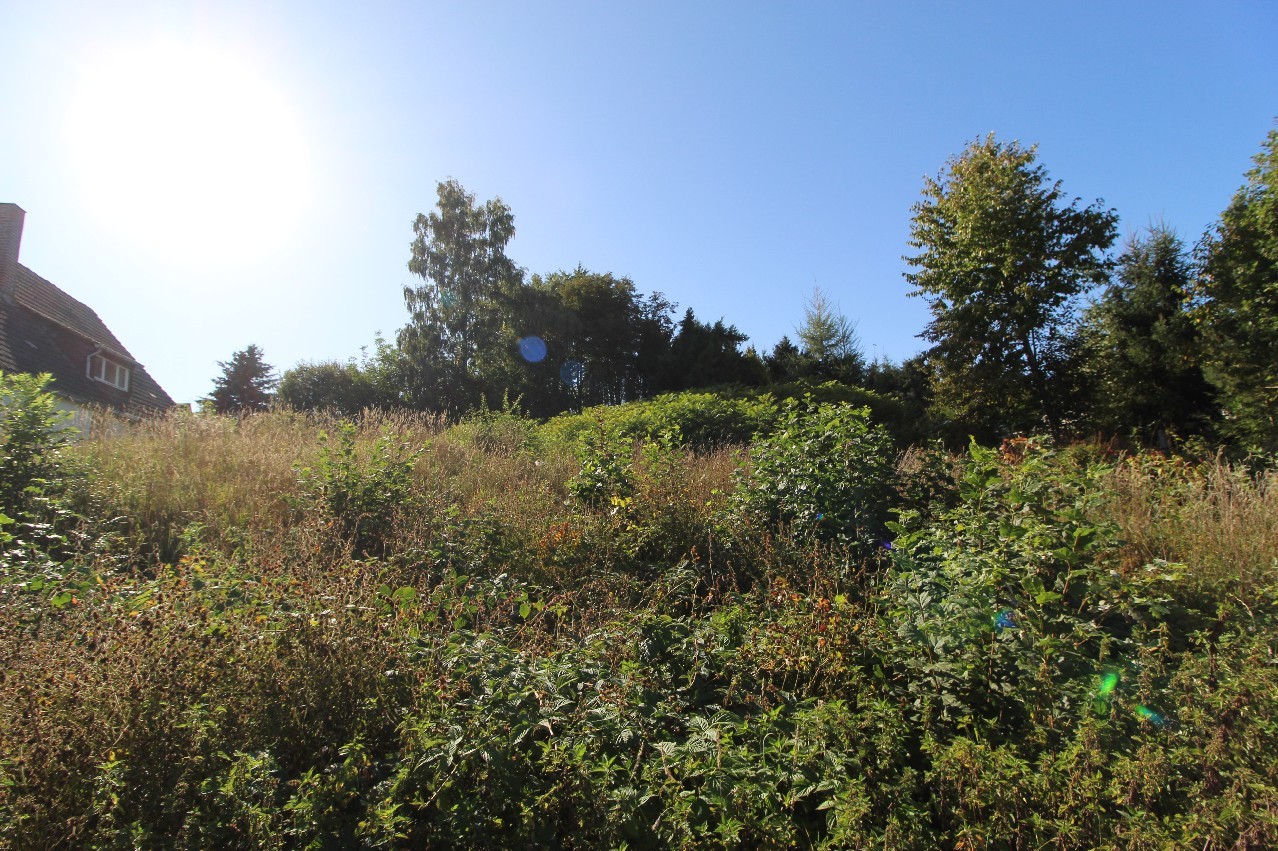 Blick zur Straße