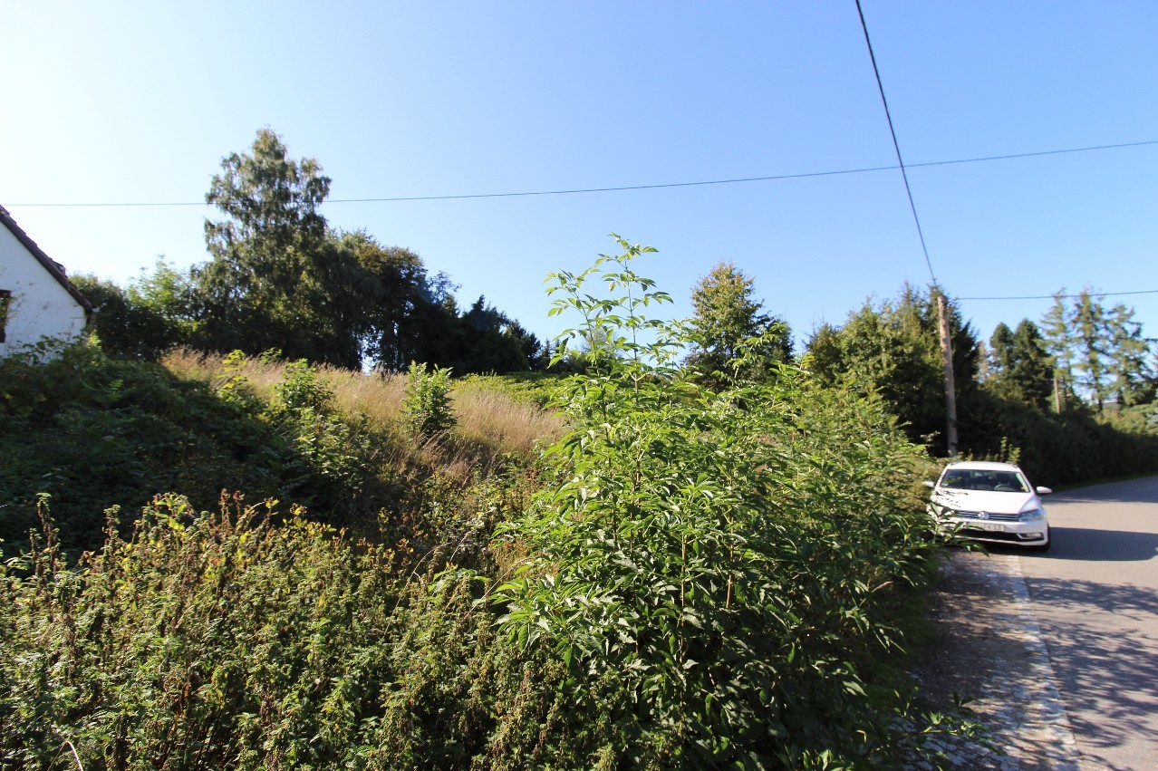 Ansicht von der Straße