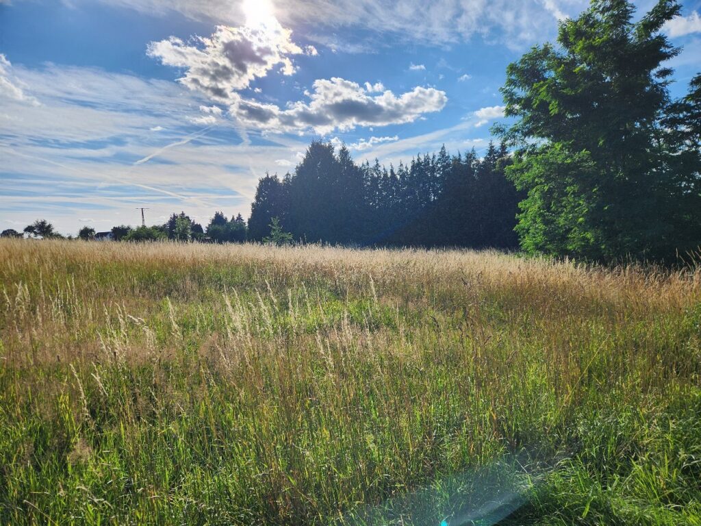 Gründstücksansicht