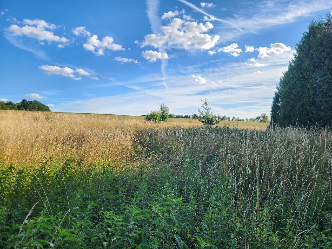 Blick nach Süd-West