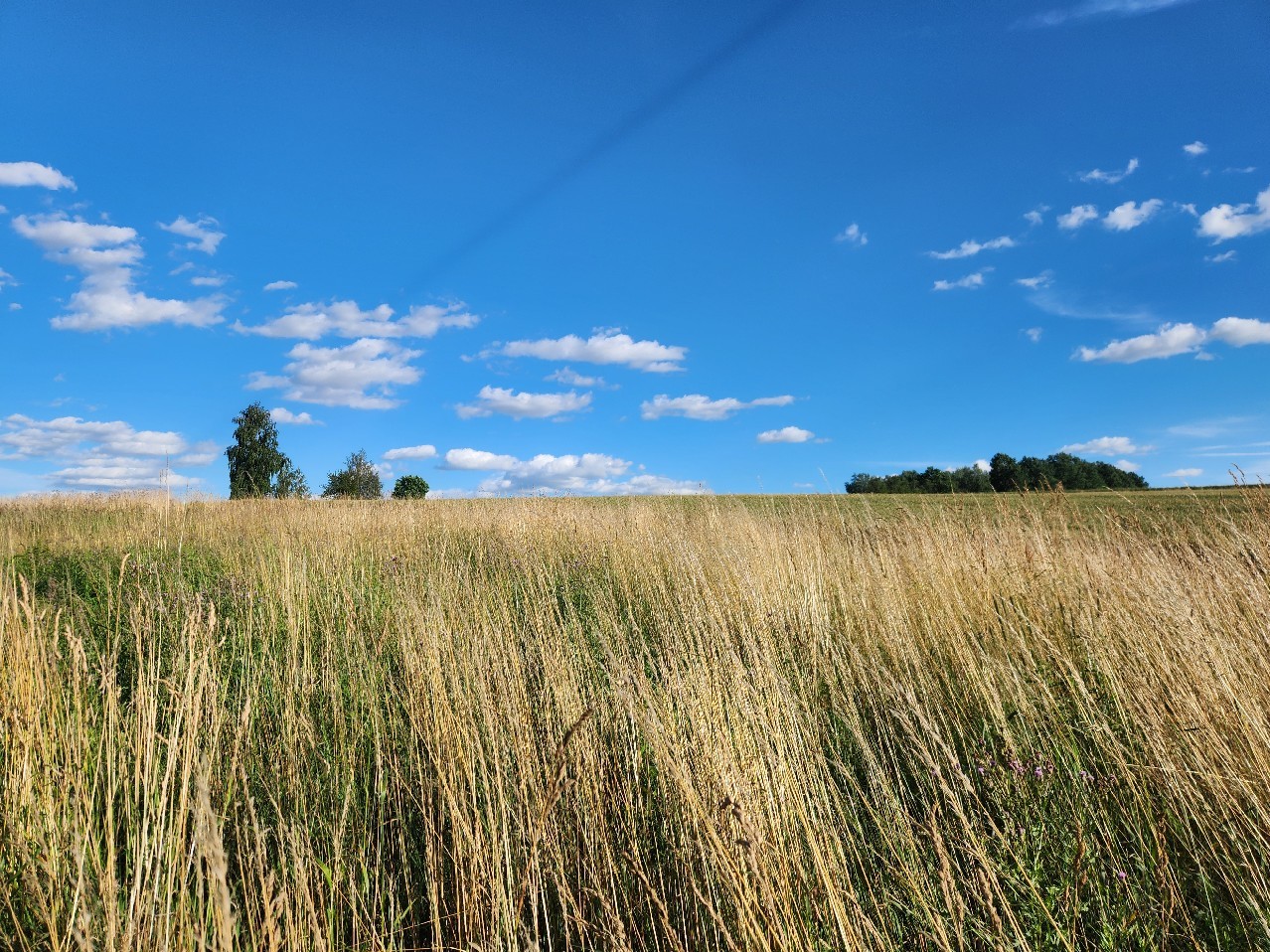 Blick nach Süden